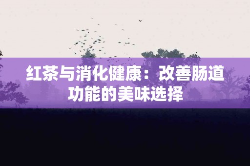 红茶与消化健康：改善肠道功能的美味选择
