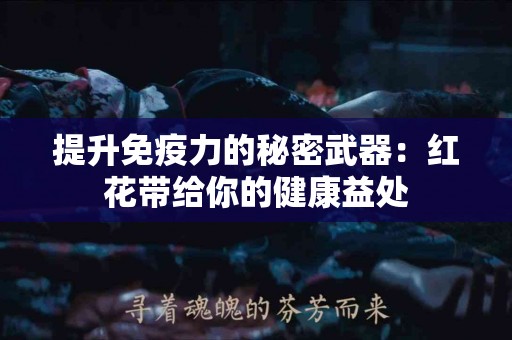提升免疫力的秘密武器：红花带给你的健康益处