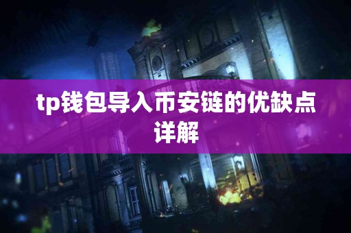 tp钱包导入币安链的优缺点详解