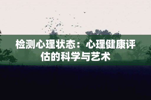检测心理状态：心理健康评估的科学与艺术