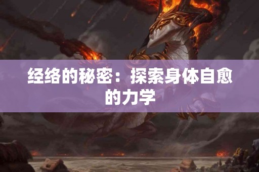 经络的秘密：探索身体自愈的力学