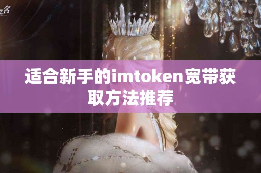 适合新手的imtoken宽带获取方法推荐