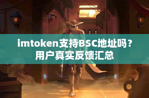 imtoken支持BSC地址吗？用户真实反馈汇总