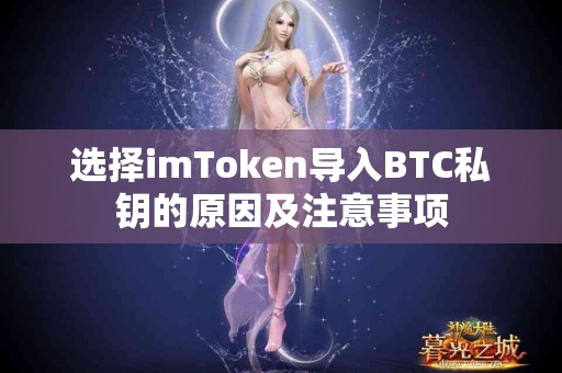 选择imToken导入BTC私钥的原因及注意事项