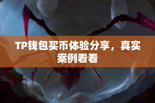 TP钱包买币体验分享，真实案例看看