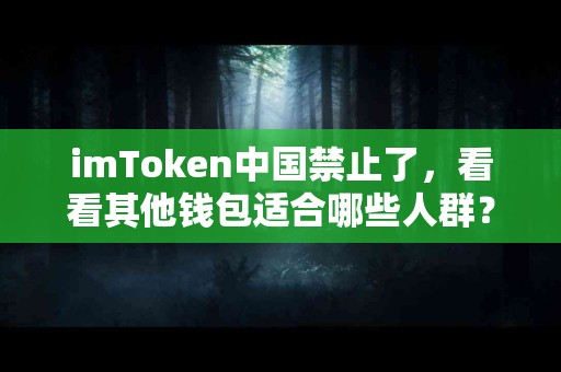imToken中国禁止了，看看其他钱包适合哪些人群？