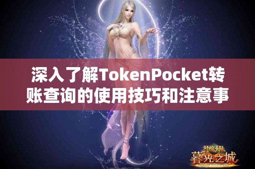 深入了解TokenPocket转账查询的使用技巧和注意事项