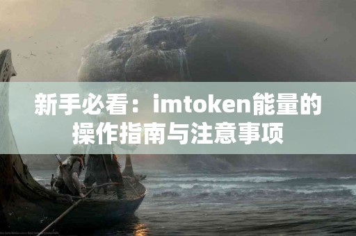 新手必看：imtoken能量的操作指南与注意事项