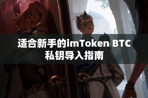 适合新手的imToken BTC私钥导入指南