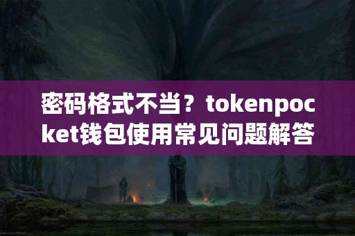 密码格式不当？tokenpocket钱包使用常见问题解答