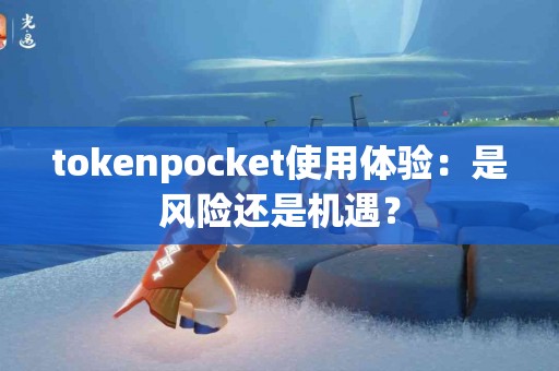 tokenpocket使用体验：是风险还是机遇？