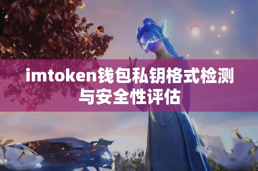 imtoken钱包私钥格式检测与安全性评估