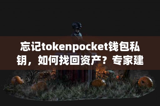 忘记tokenpocket钱包私钥，如何找回资产？专家建议