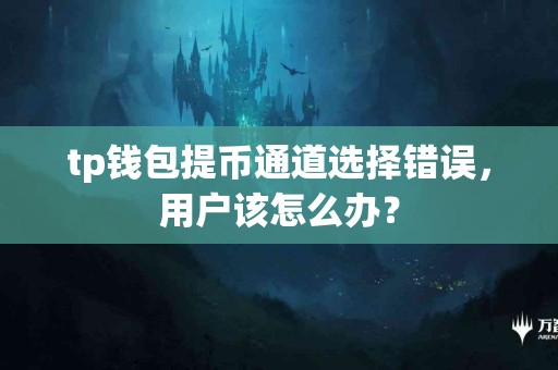tp钱包提币通道选择错误，用户该怎么办？