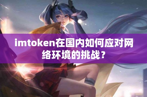 imtoken在国内如何应对网络环境的挑战？