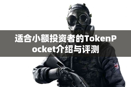 适合小额投资者的TokenPocket介绍与评测