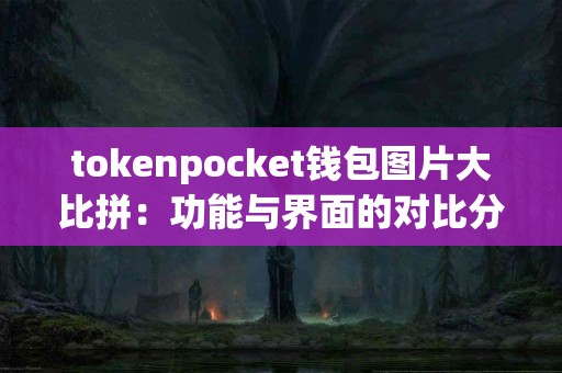 tokenpocket钱包图片大比拼：功能与界面的对比分析
