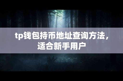 tp钱包持币地址查询方法，适合新手用户