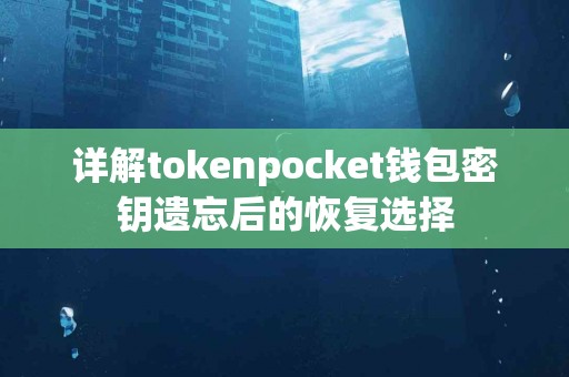 详解tokenpocket钱包密钥遗忘后的恢复选择
