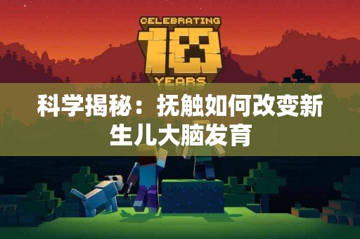 科学揭秘：抚触如何改变新生儿大脑发育