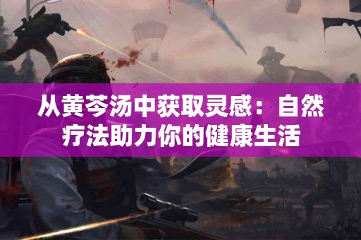 从黄芩汤中获取灵感：自然疗法助力你的健康生活