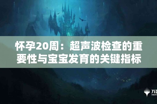 怀孕20周：超声波检查的重要性与宝宝发育的关键指标